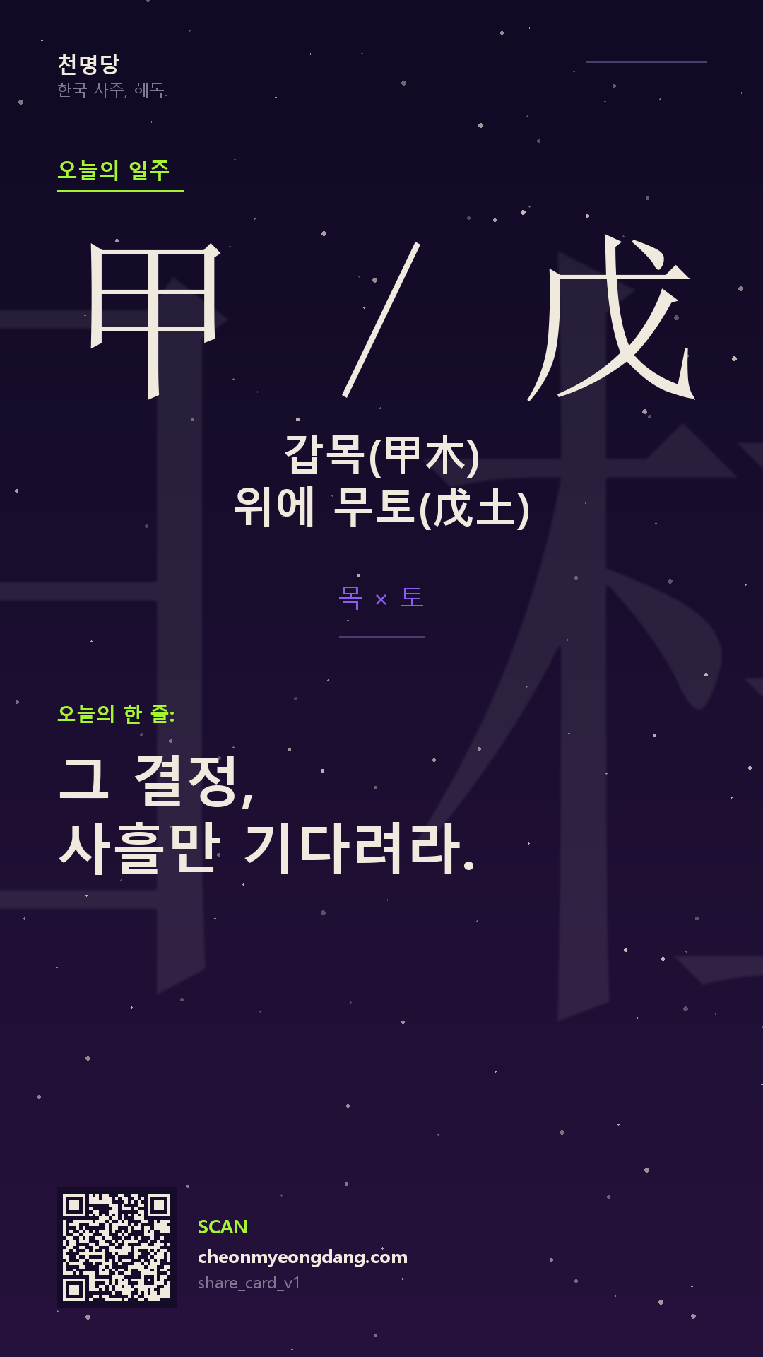 오늘의 일주 카드